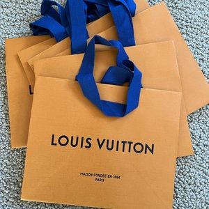 Louis Vuitton gift bags (6 bags total)